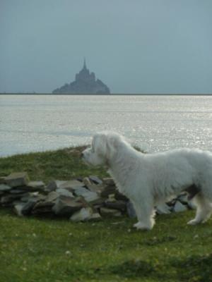 La maison d'hôtes Les Bruyères du Mont vous accueille dans la Baie du Mont Saint Michel 12 km du Mont St Michel entre St Malo et Granville  Nous vous proposons un séjour entre Bretagne et Normandie au sein de 4 chambres  et un gîte de charme. 