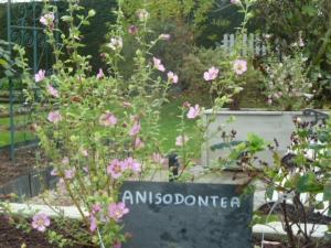 Gîtes et jardin - Bruyères du Mont